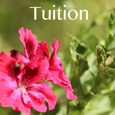 tuition